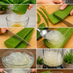 aloe vera gel making